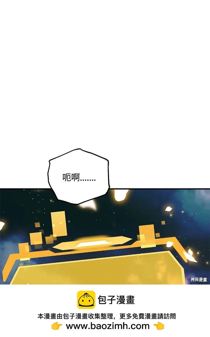 第 100 页