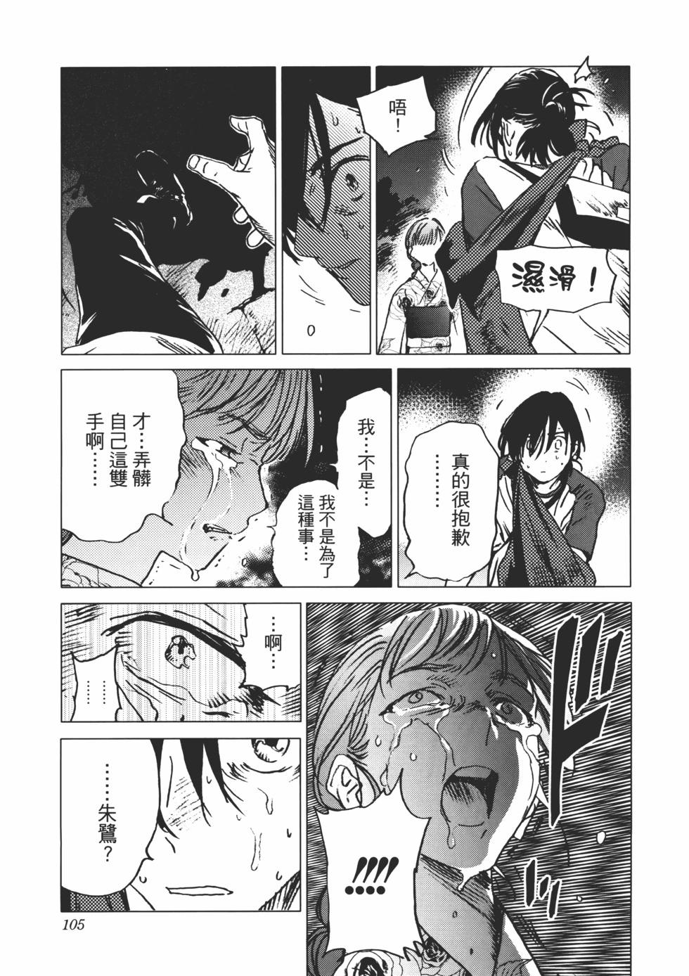 第 106 页
