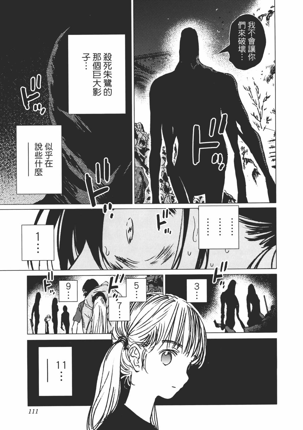 第 112 页