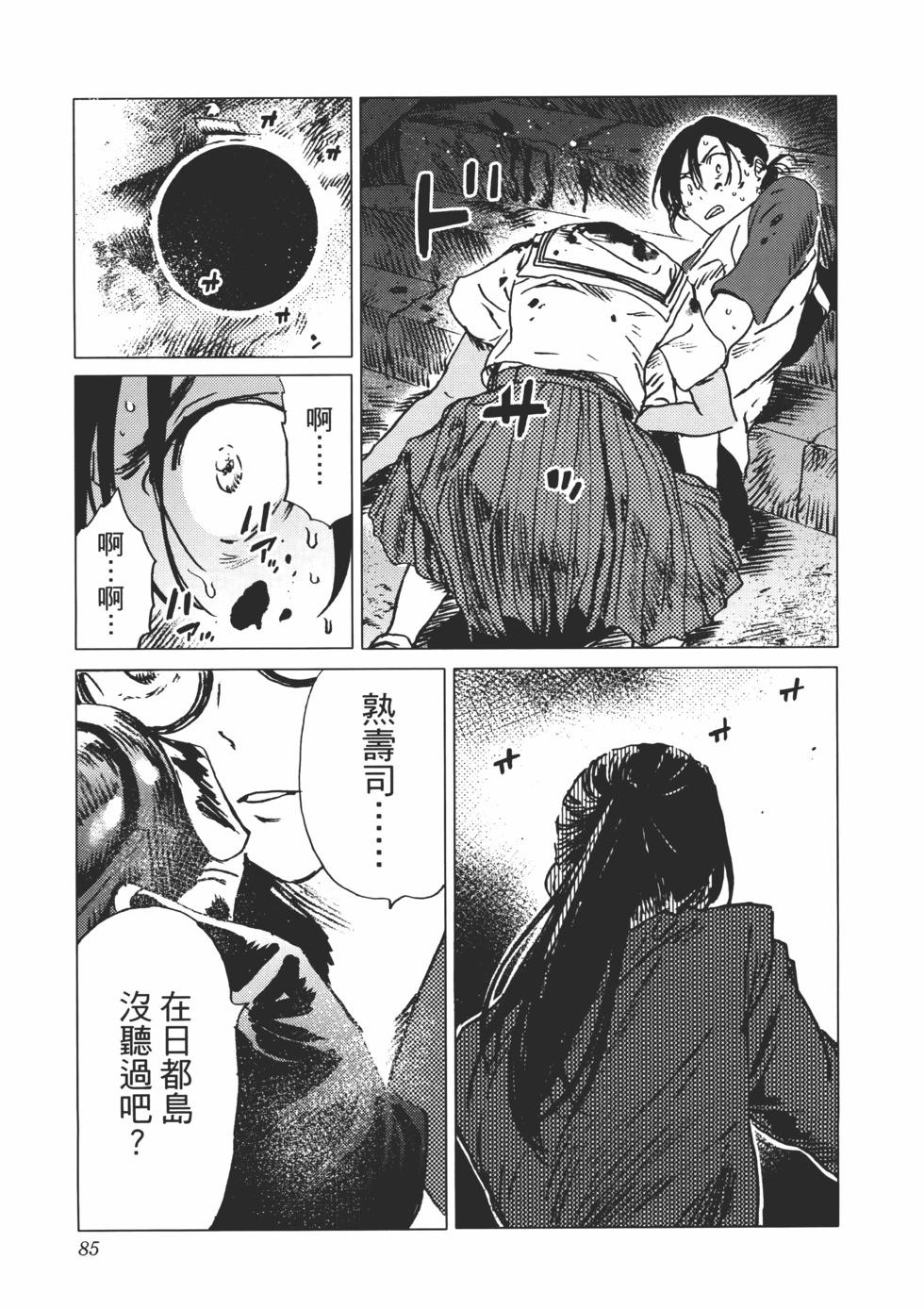 第 86 页