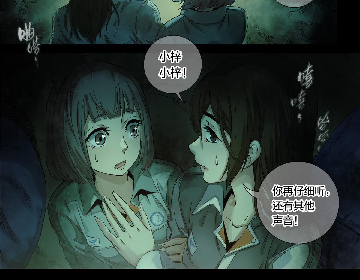 第 31 页