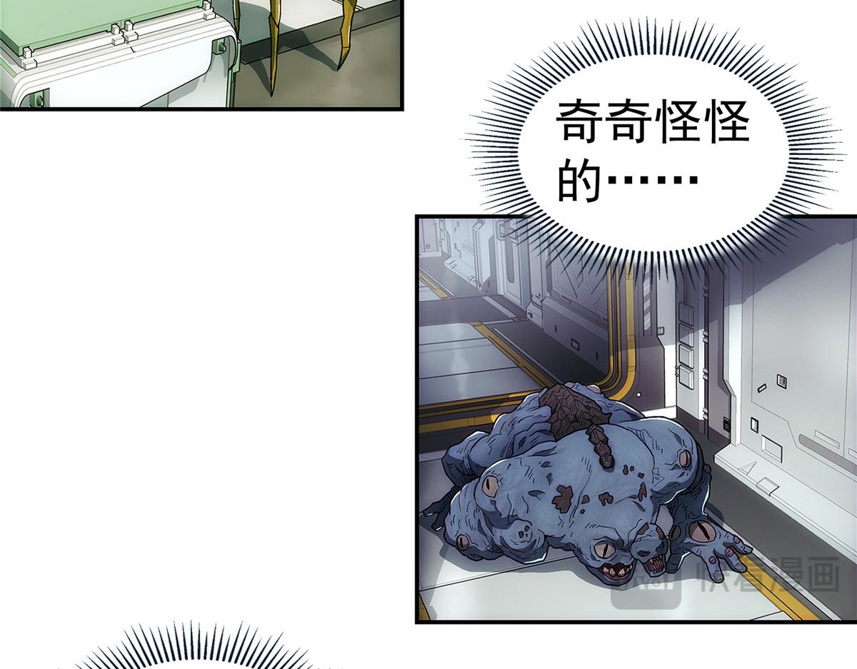 第 41 页