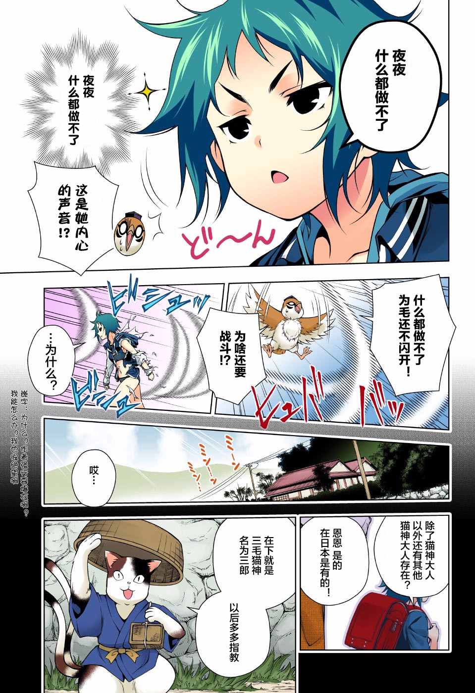 第 13 页