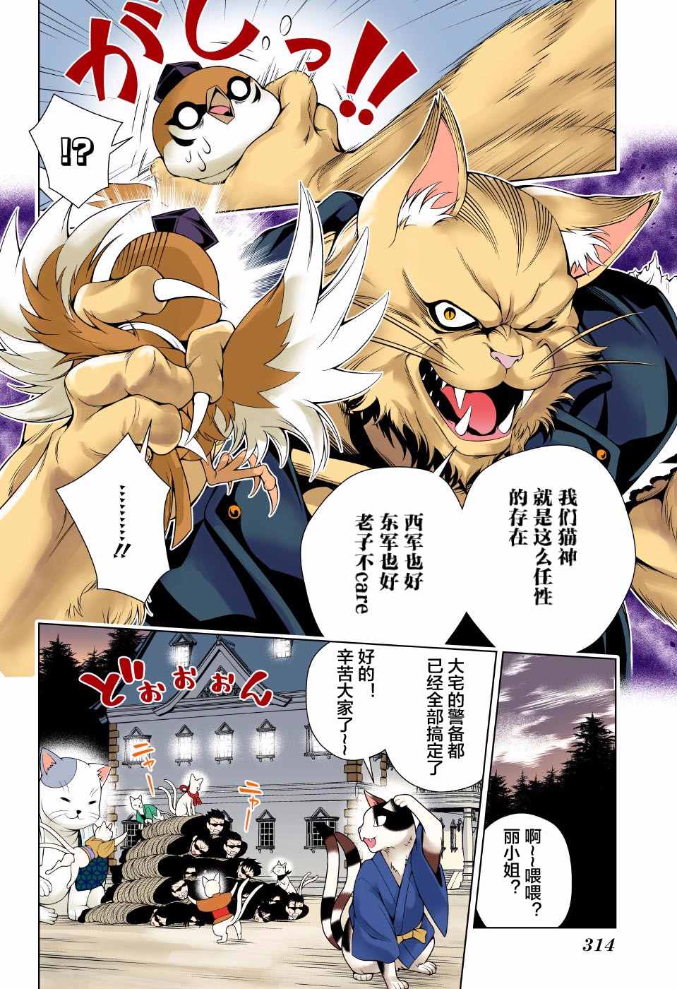 第 17 页