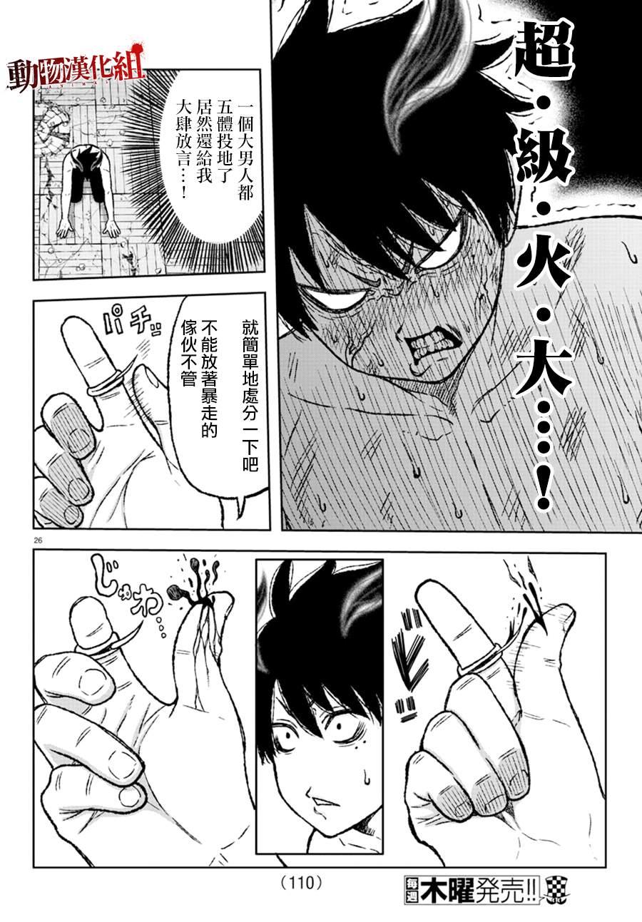 第 26 页