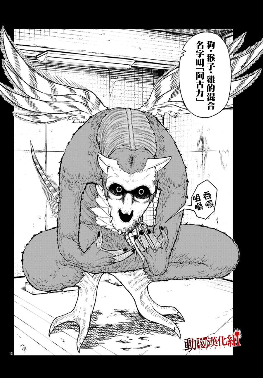 第 13 页