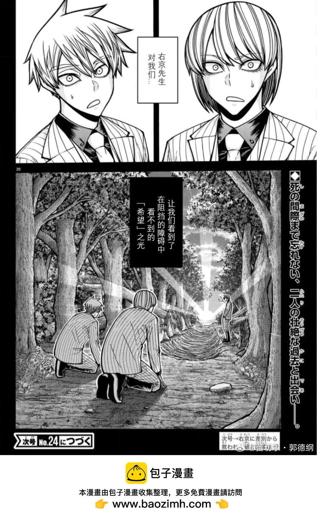 第 20 页