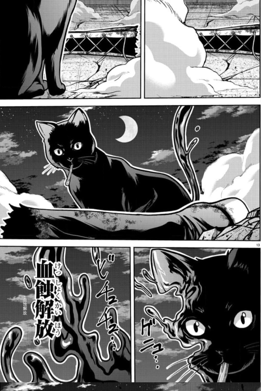 第 13 页