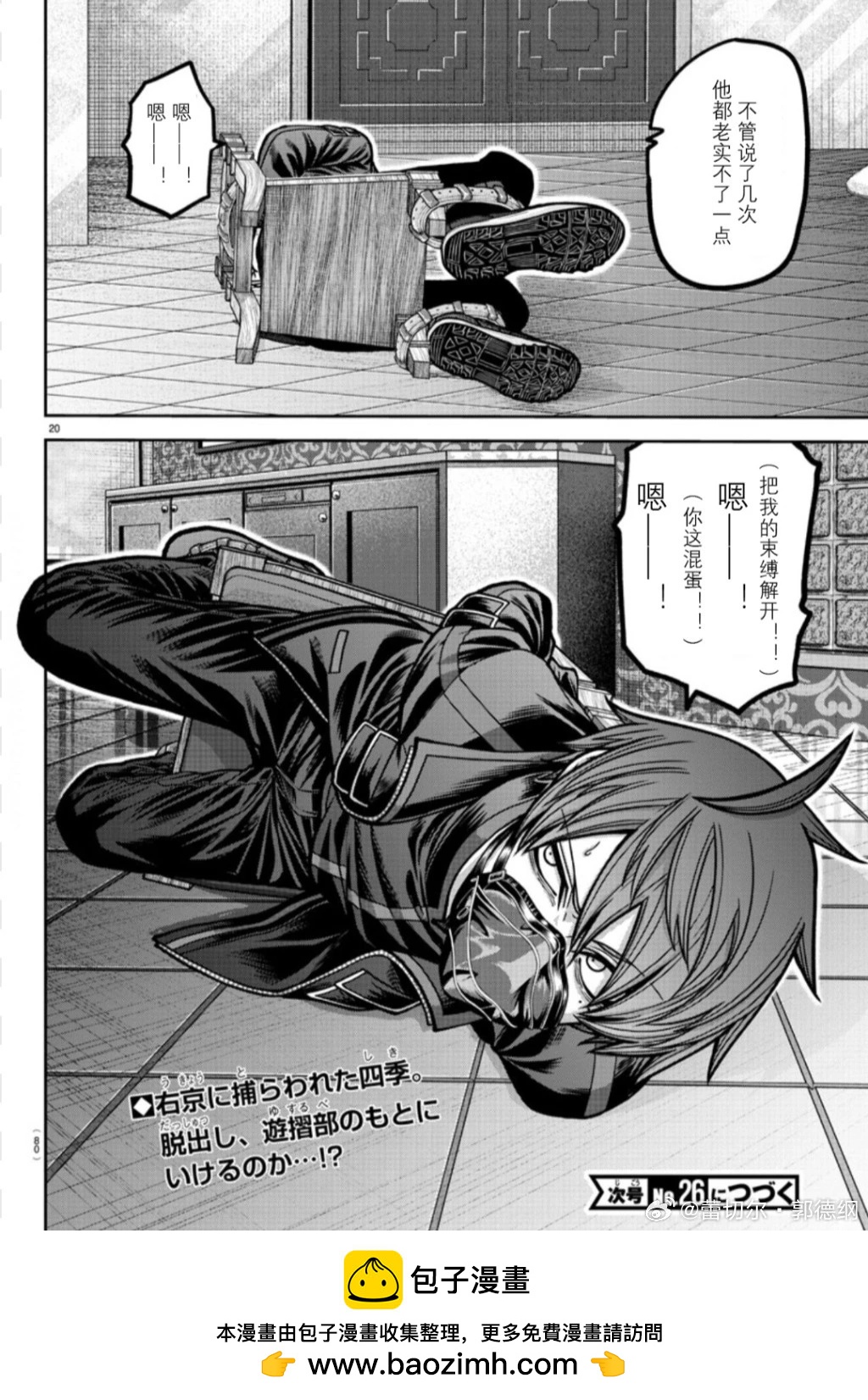 第 20 页