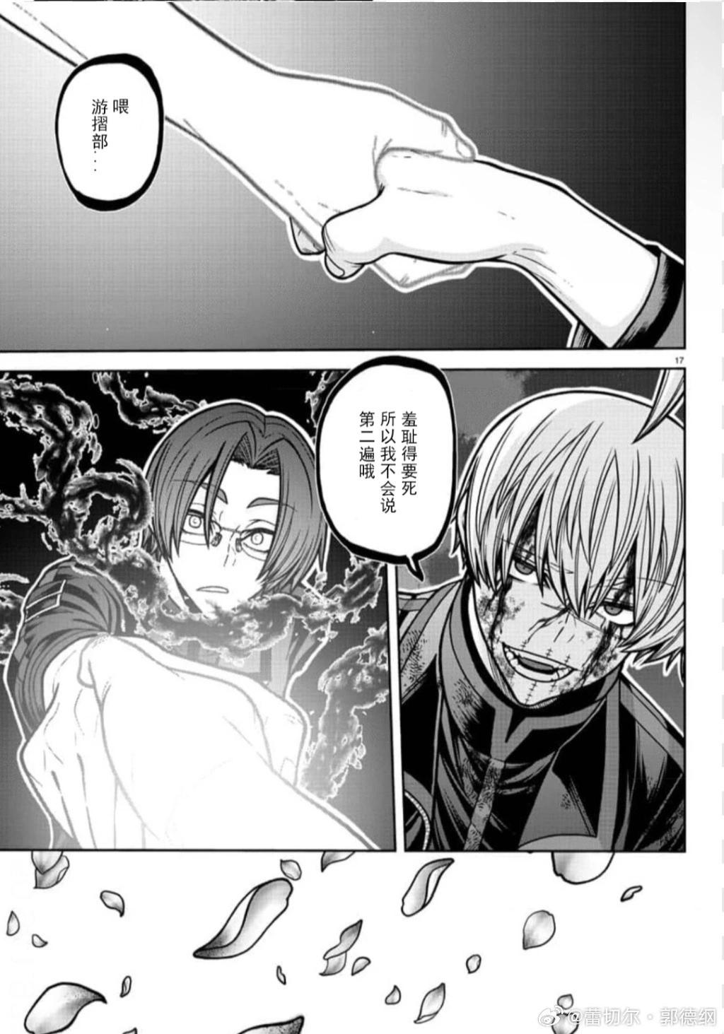 第 17 页