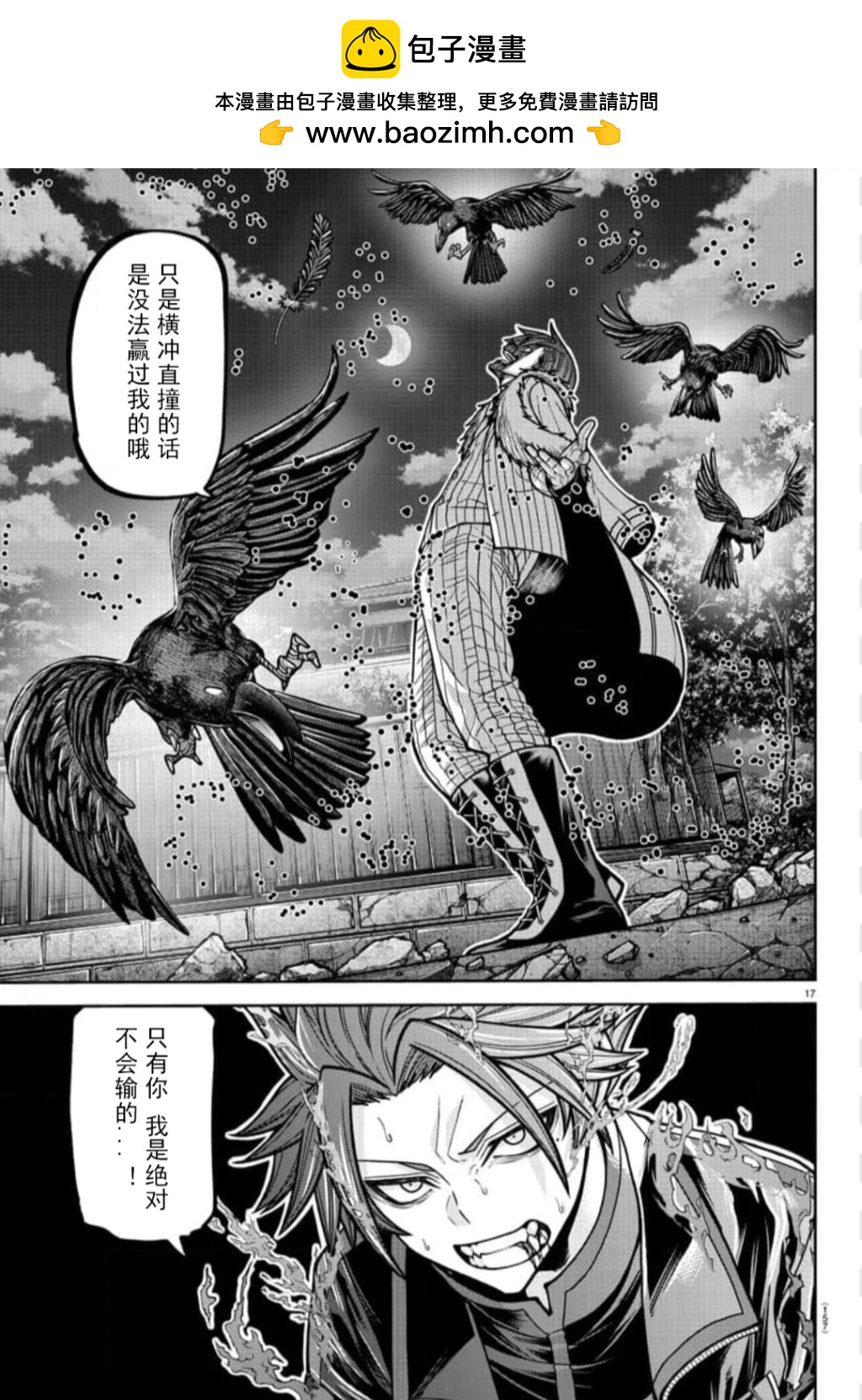 第 17 页
