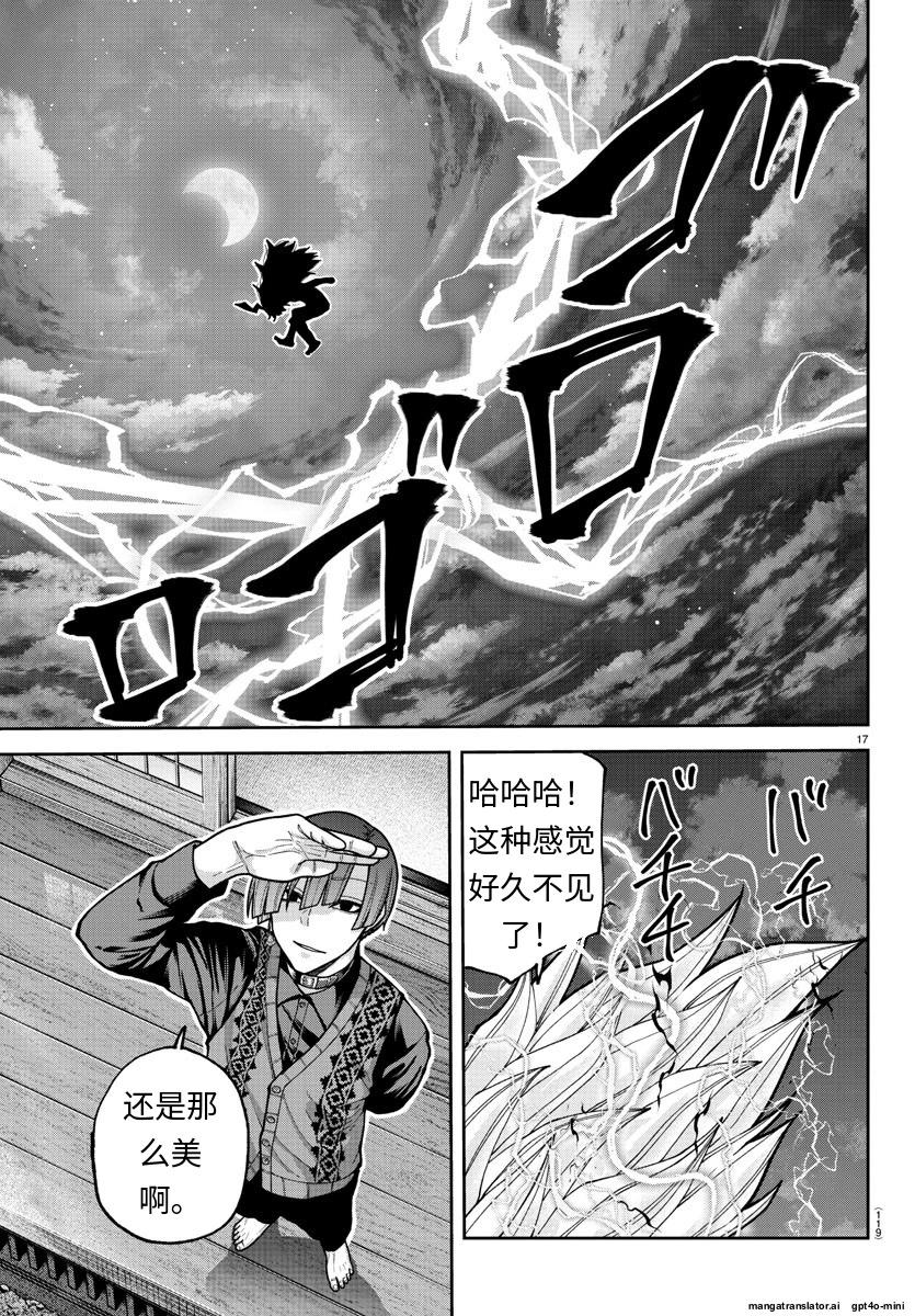 第 17 页