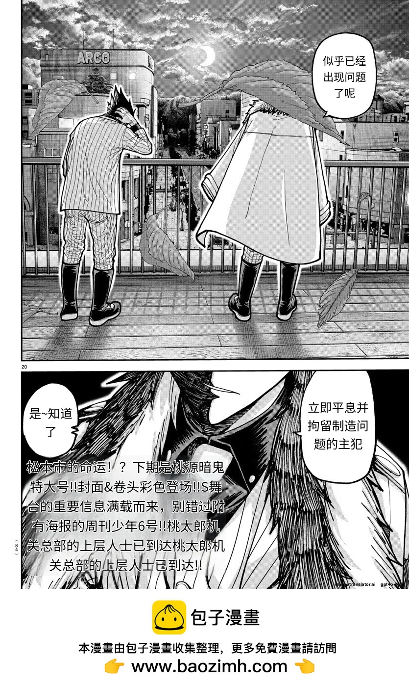 第 20 页