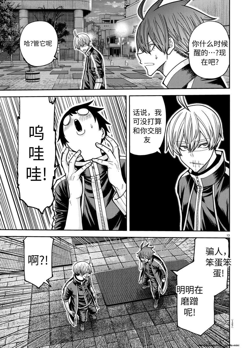 第 13 页