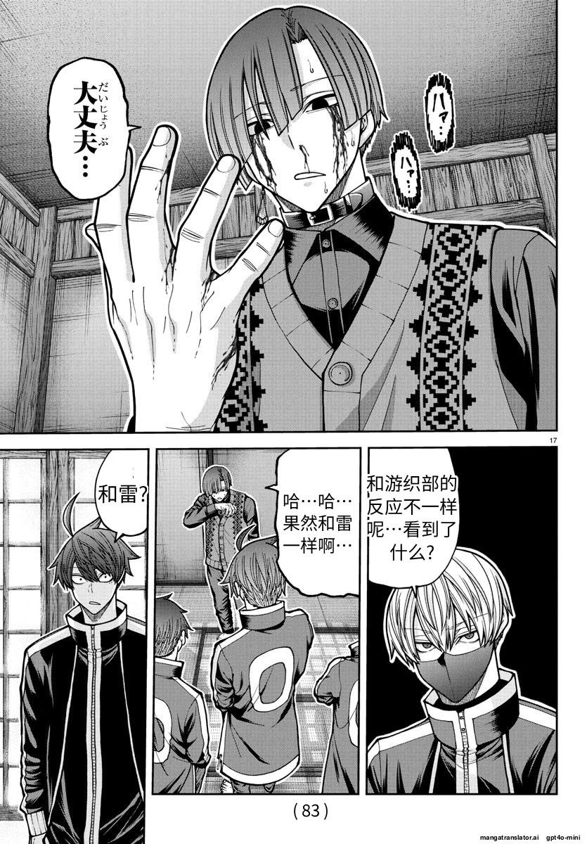 第 17 页