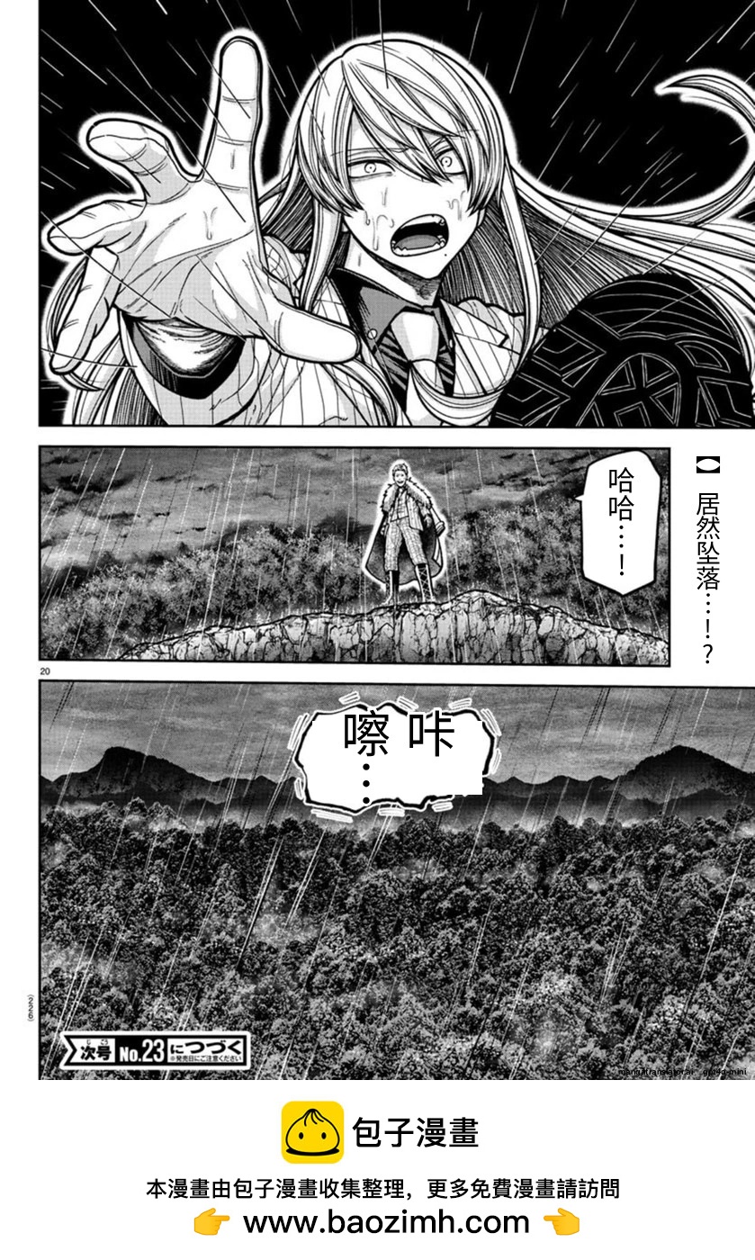 第 20 页