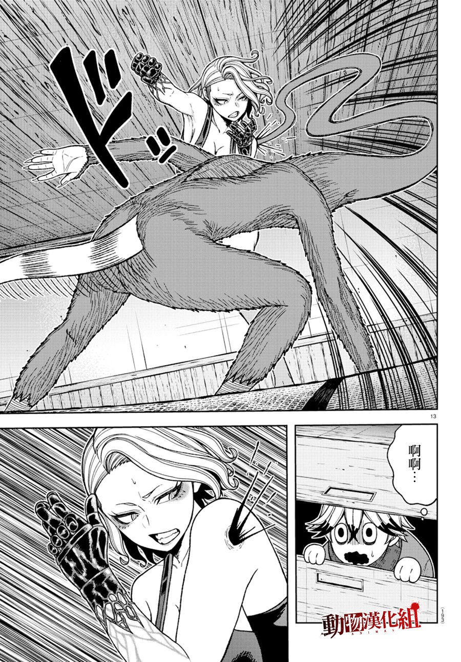 第 13 页