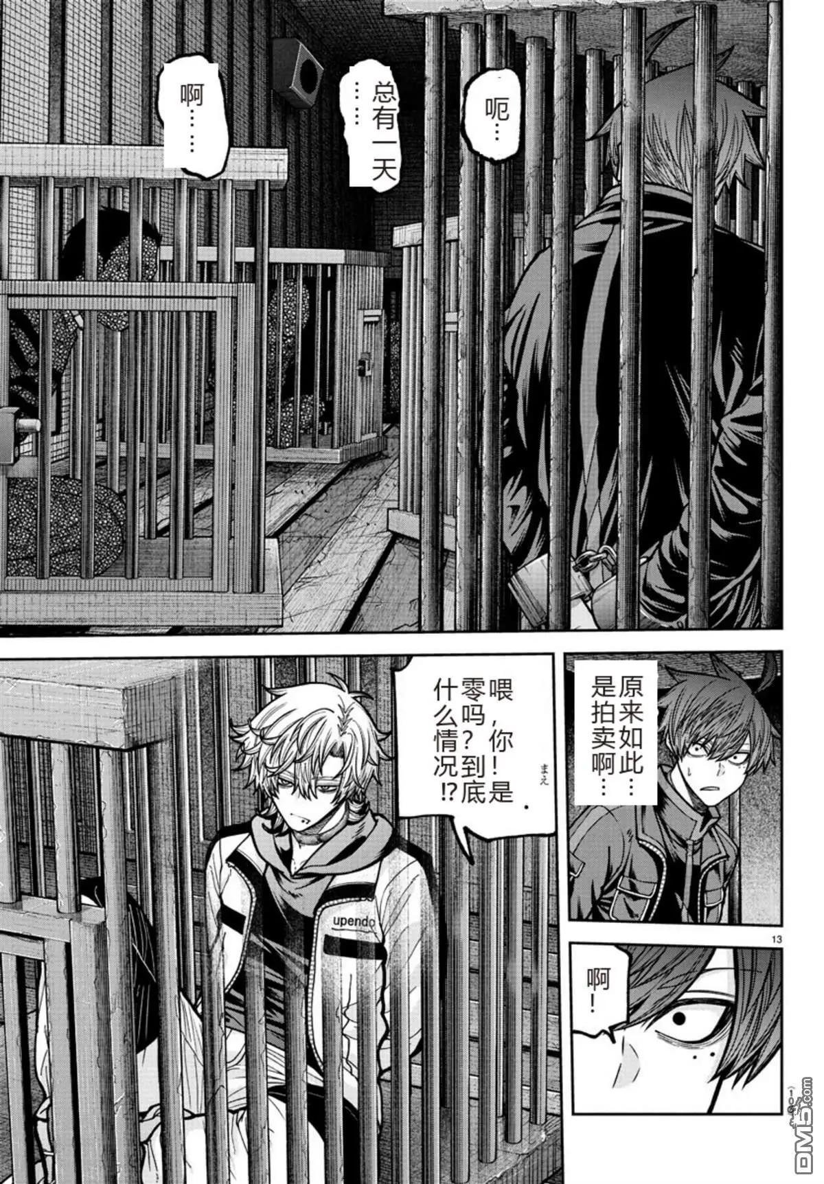 第 13 页