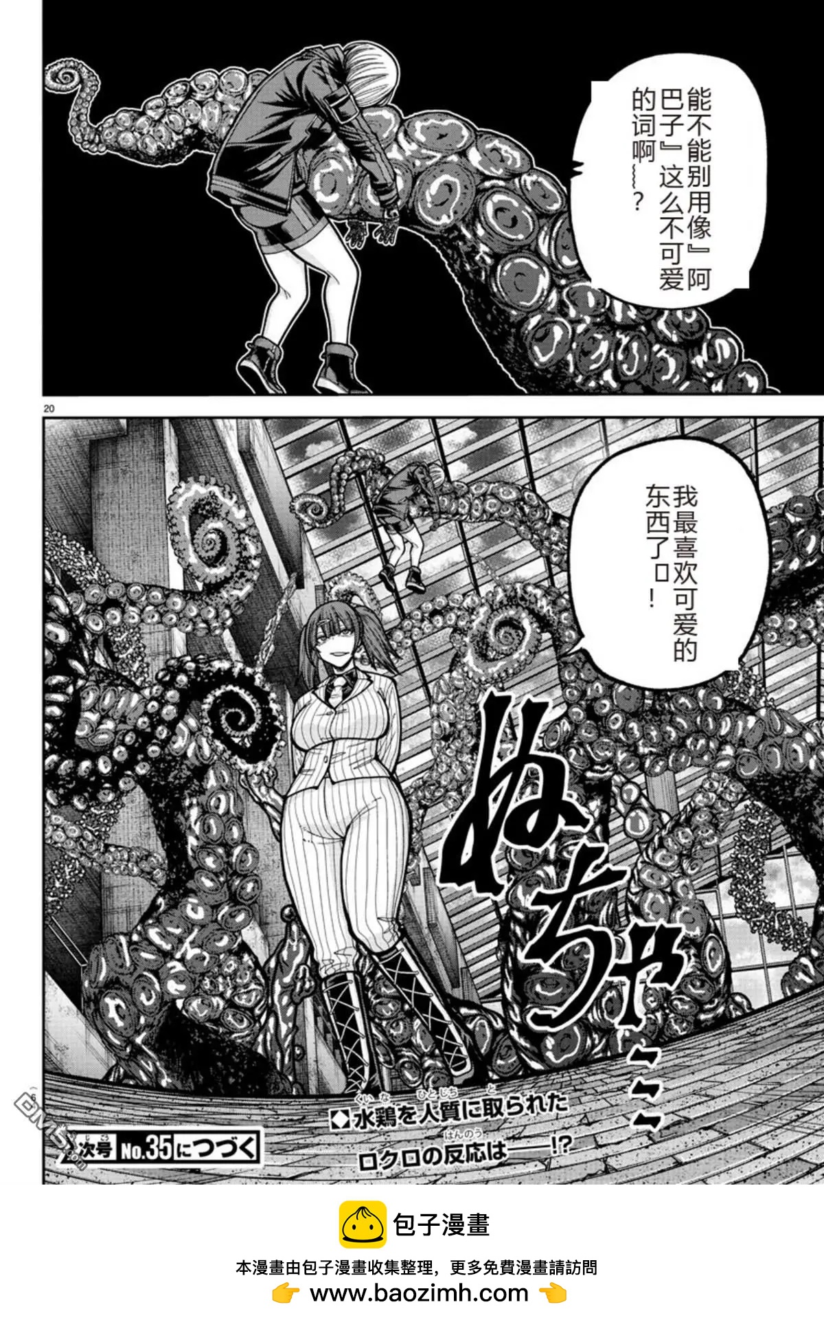 第 20 页