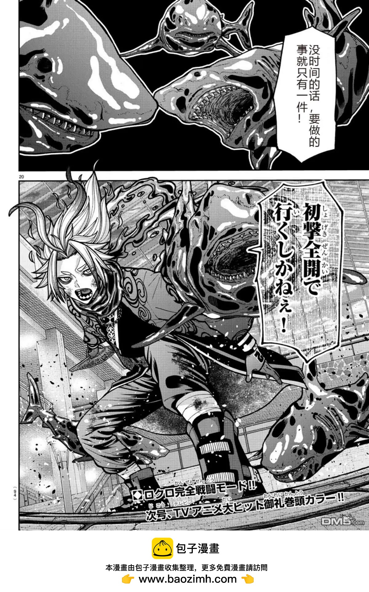 第 20 页