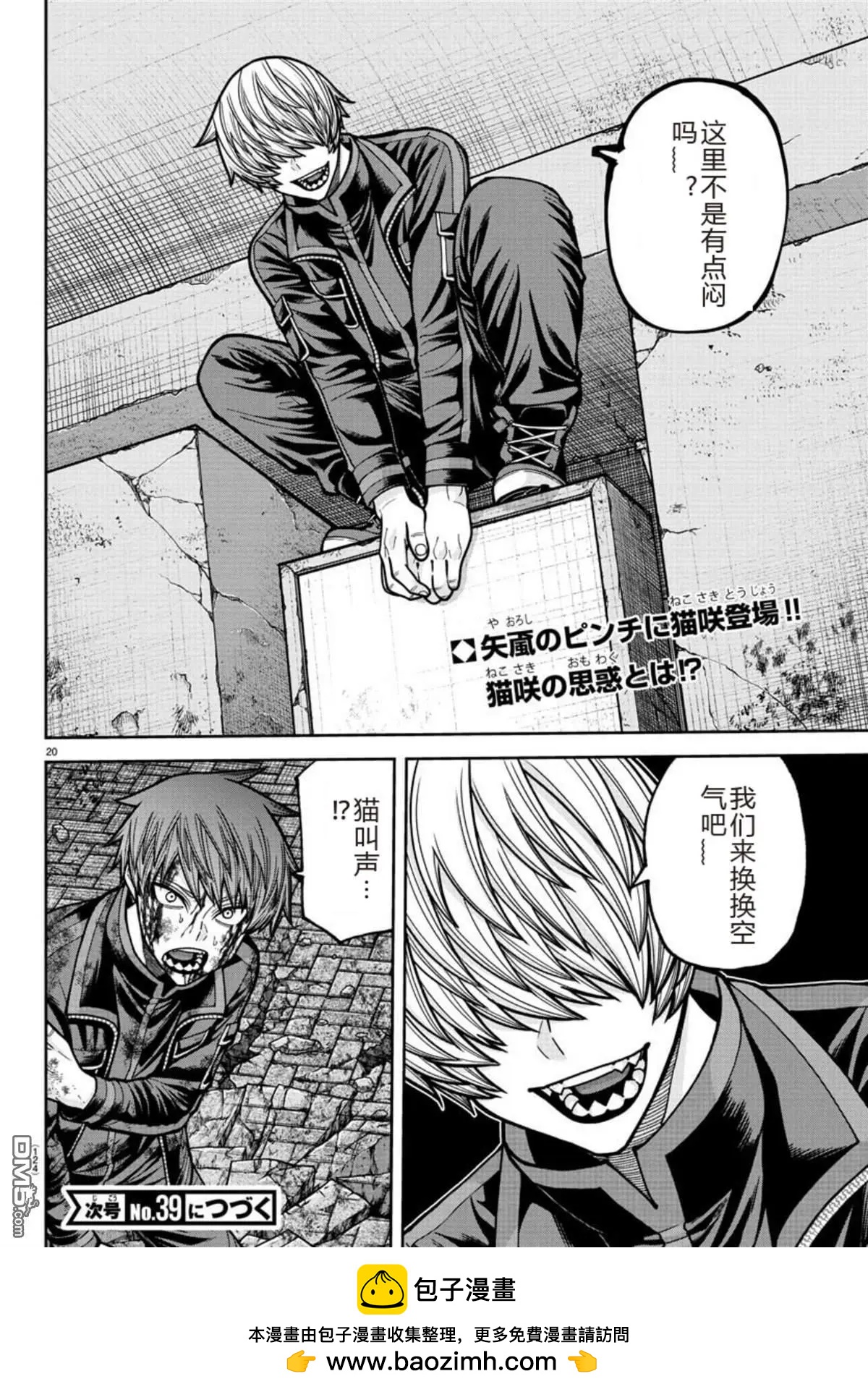 第 20 页