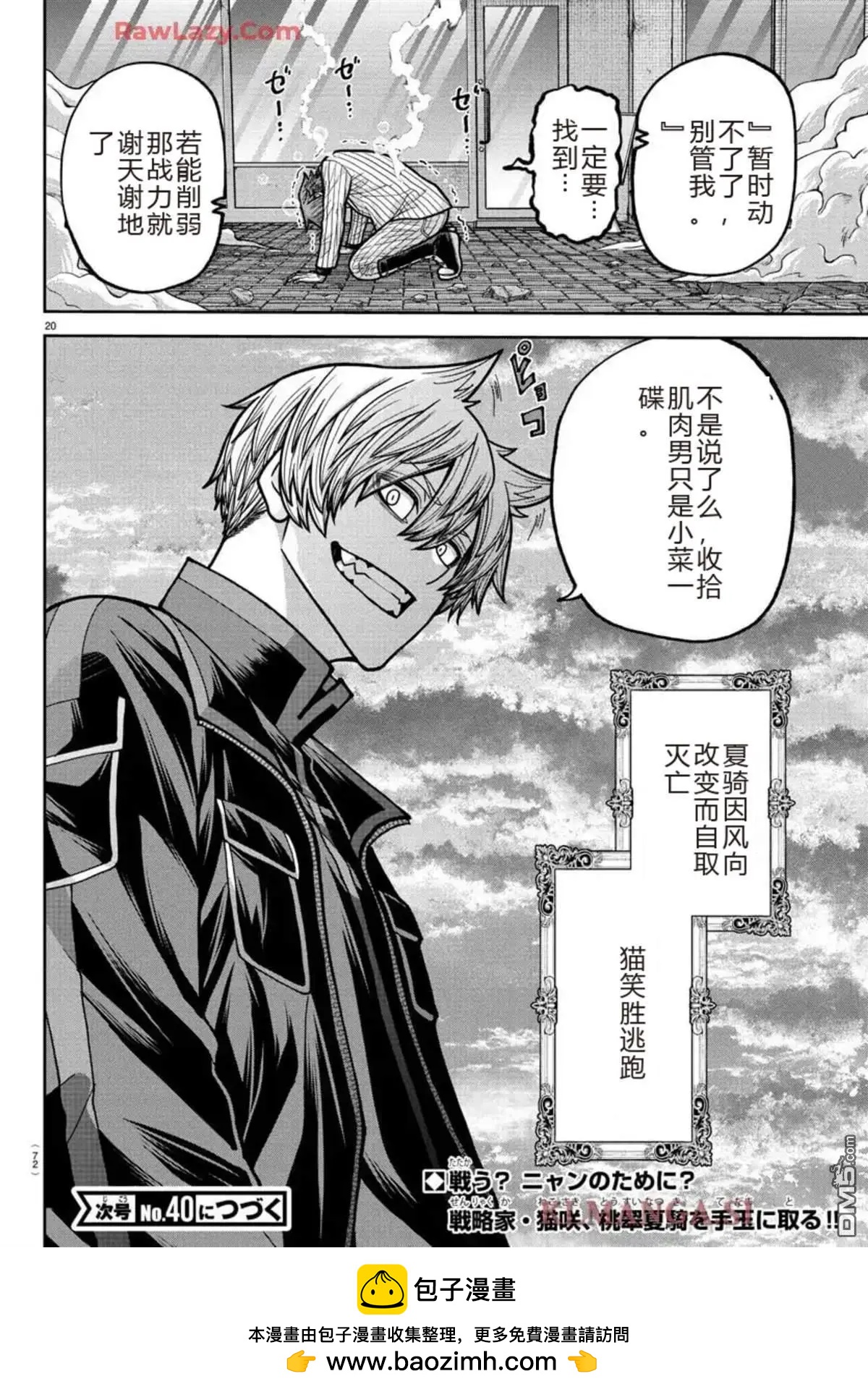 第 20 页