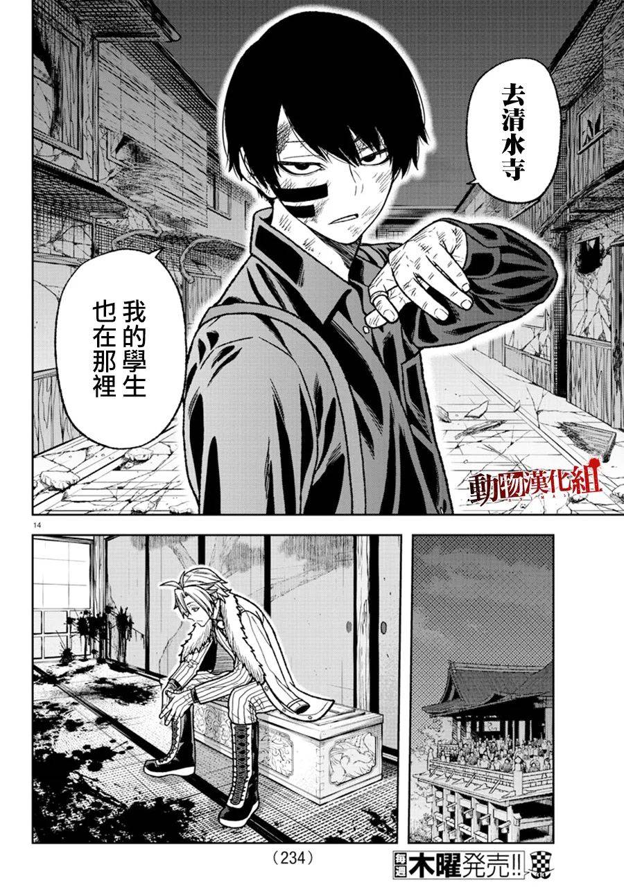 第 13 页