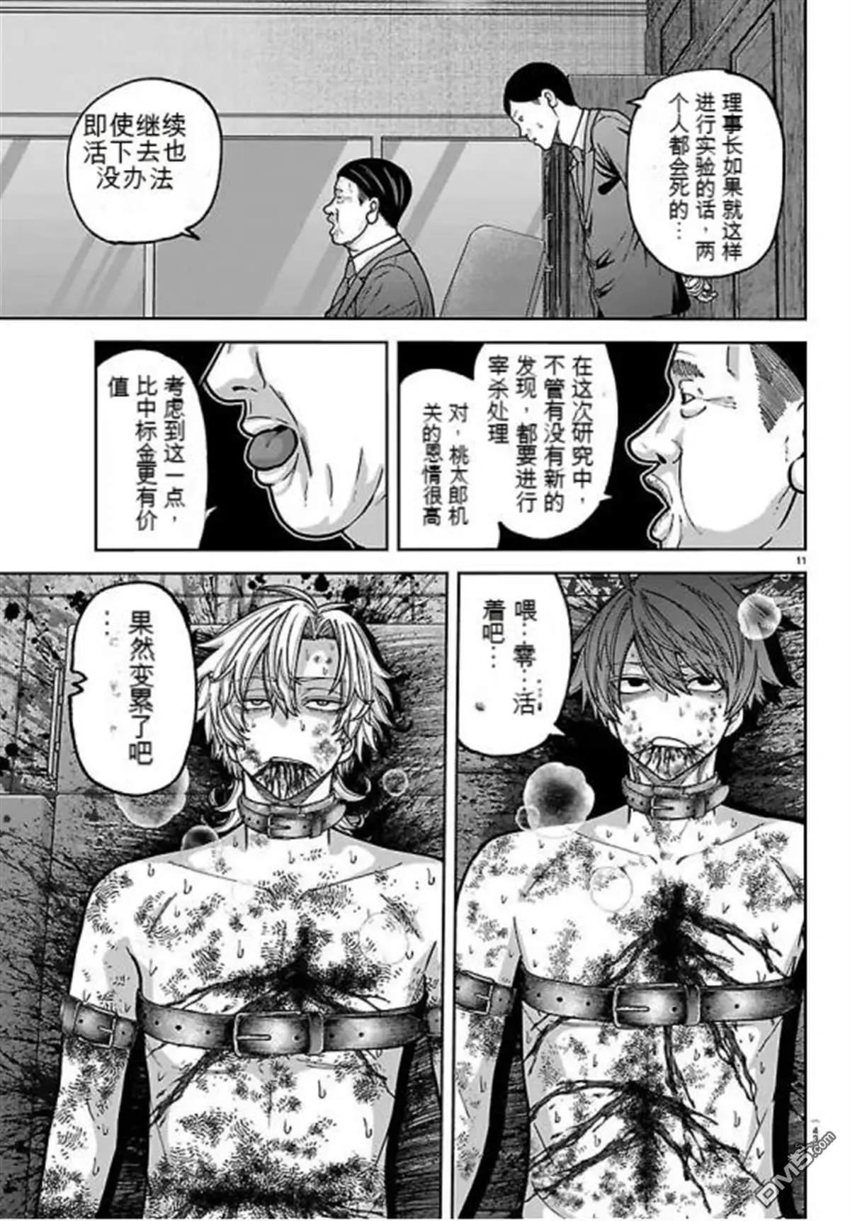 第 11 页