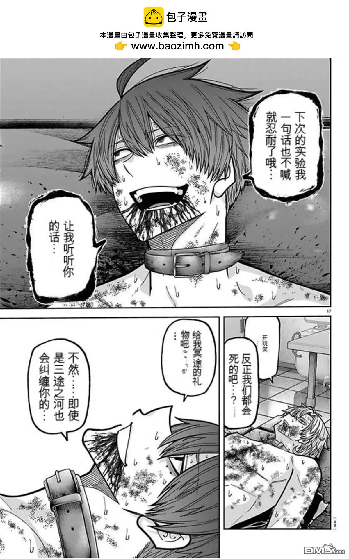 第 17 页