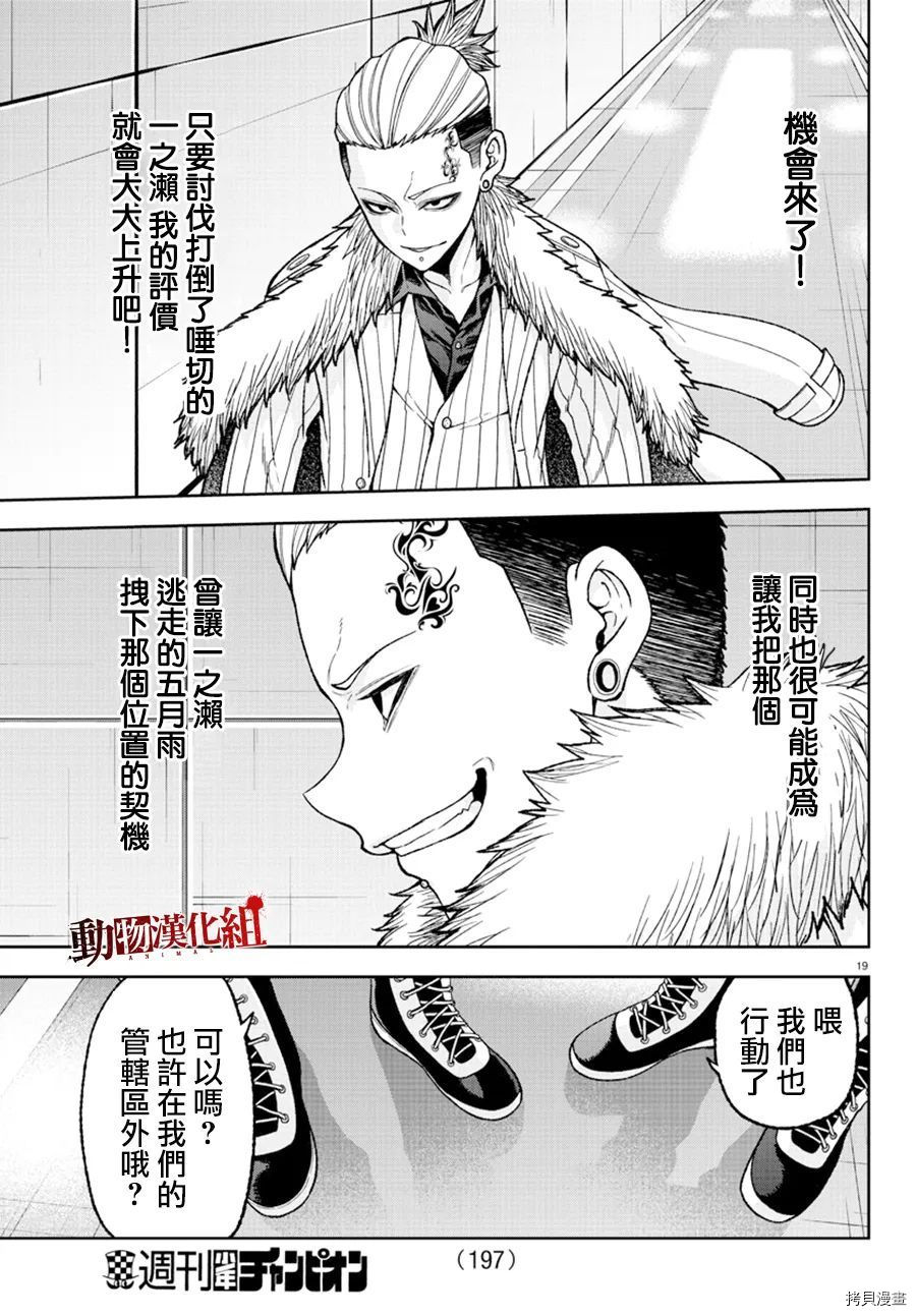 第 19 页