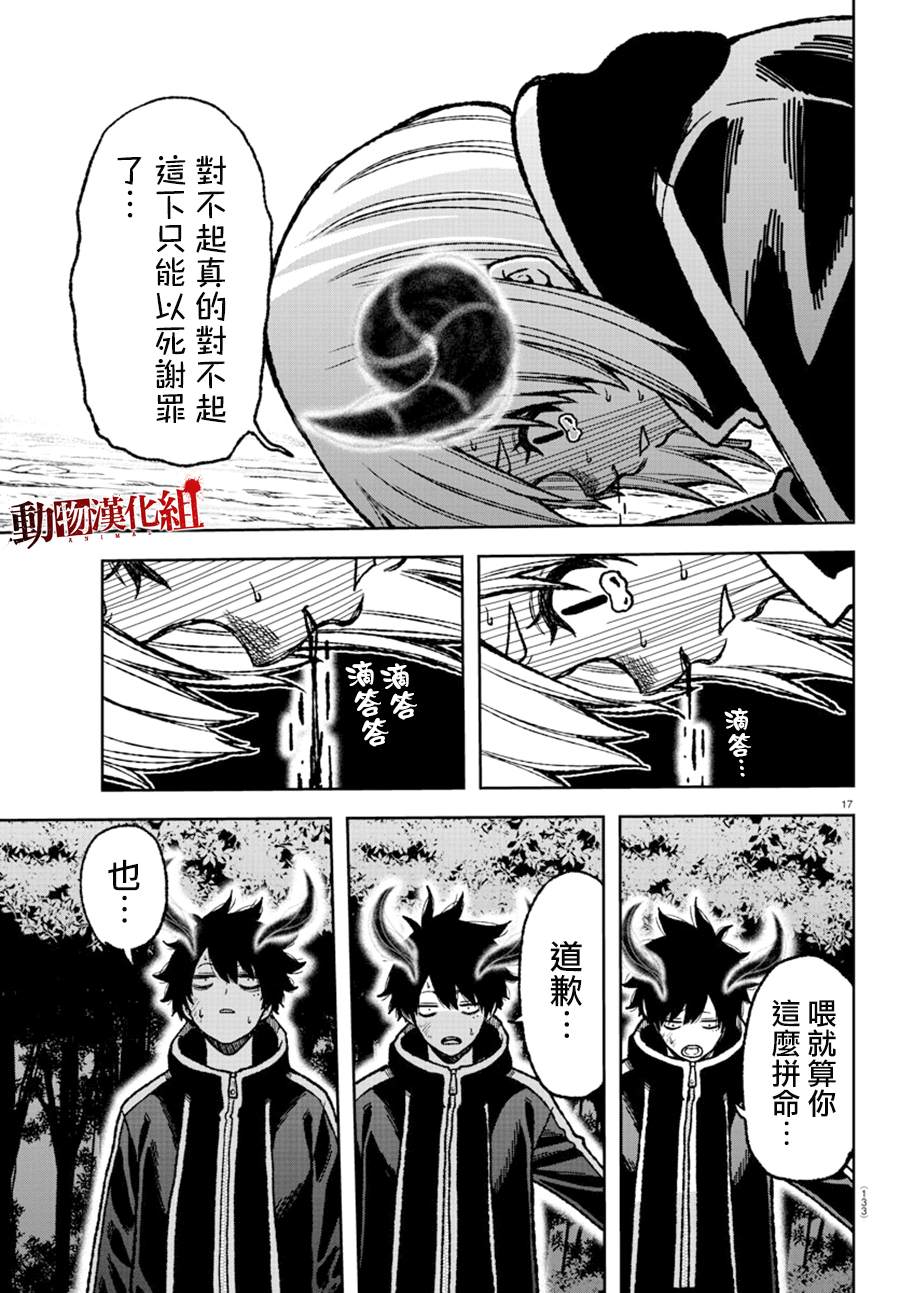 第 17 页