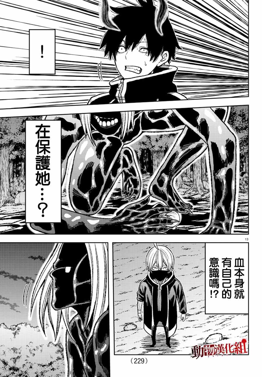 第 13 页