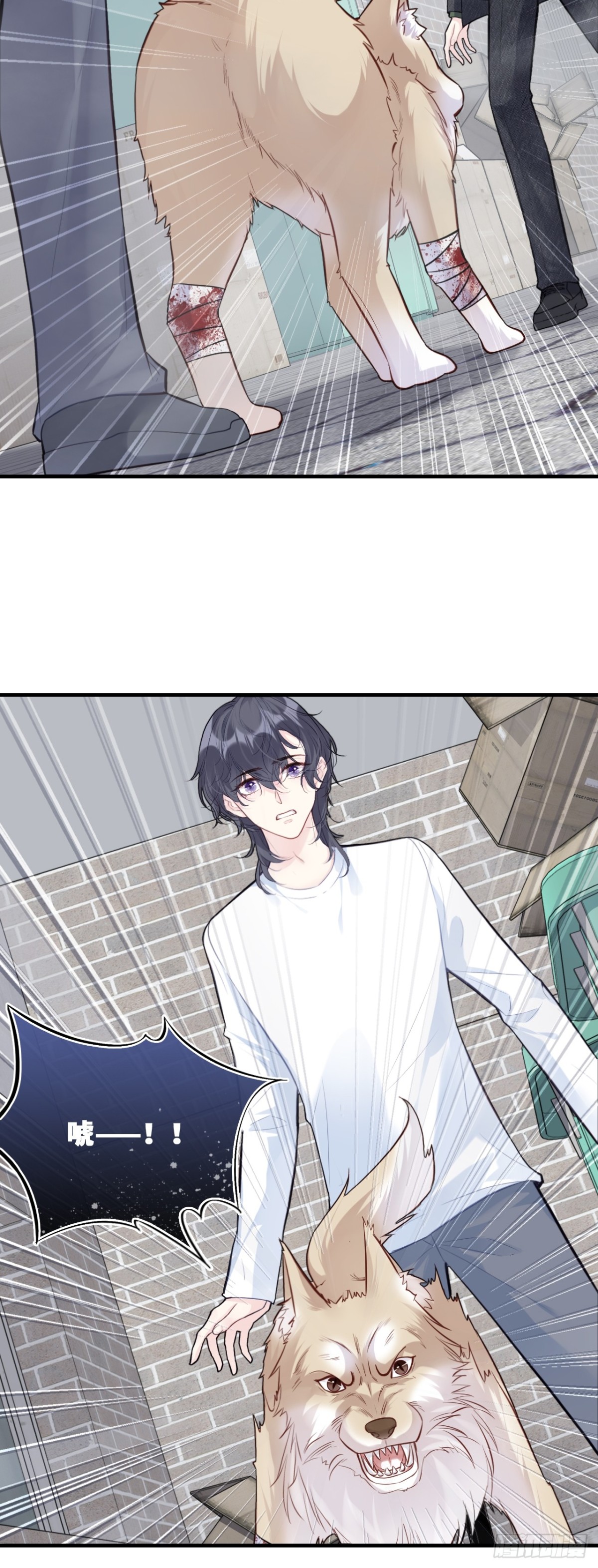 第 22 页
