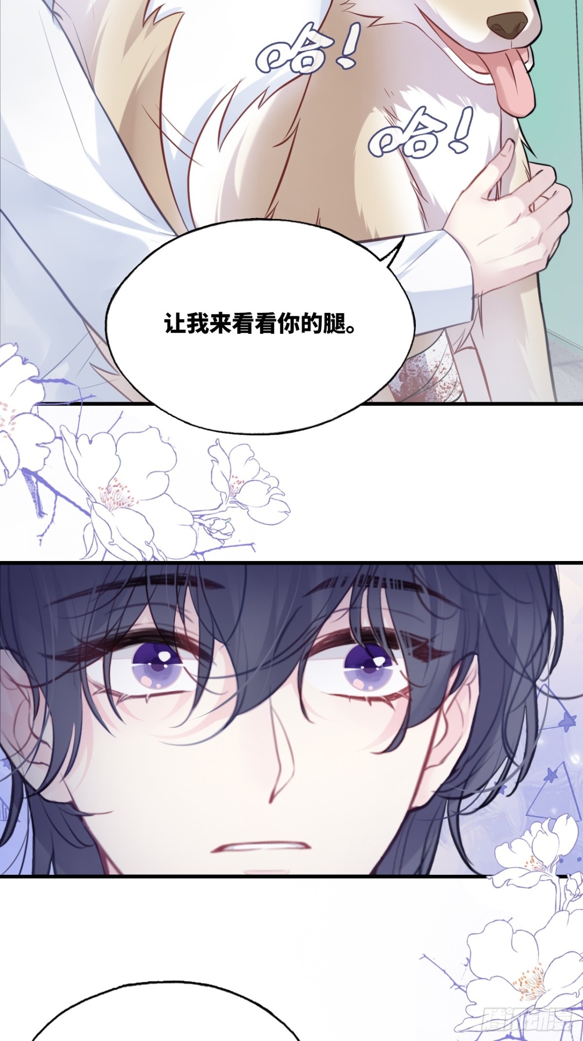 第 43 页