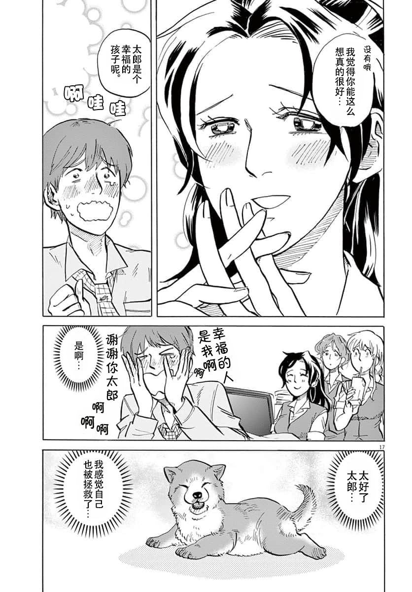 第 17 页