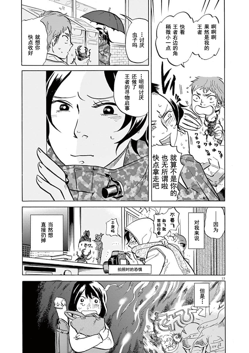 第 13 页