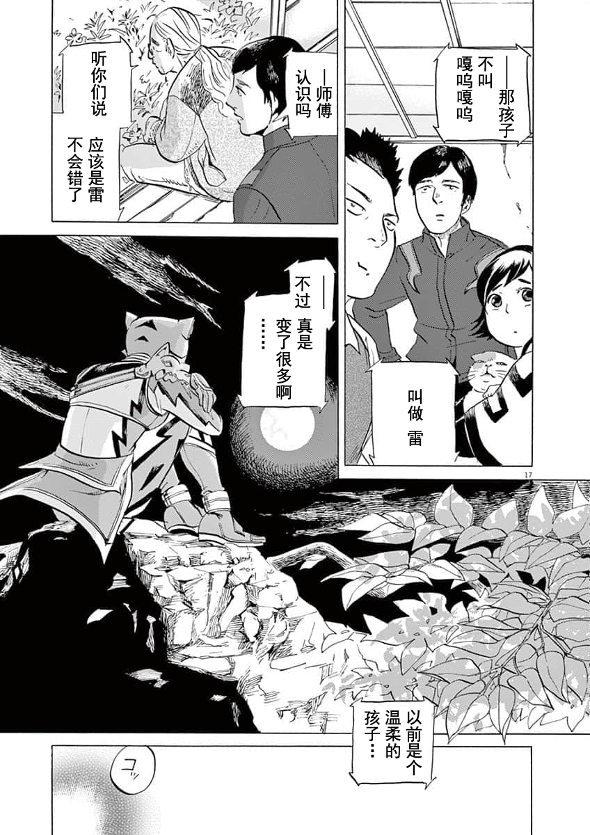 第 17 页