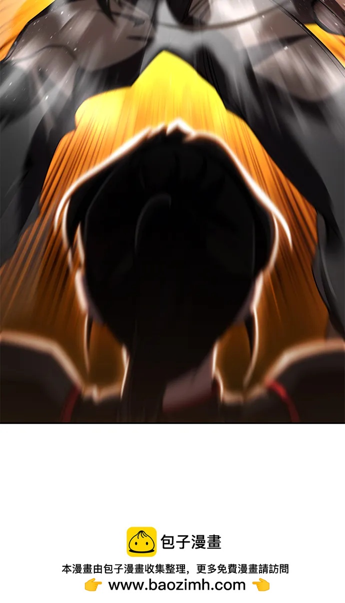 第 100 页