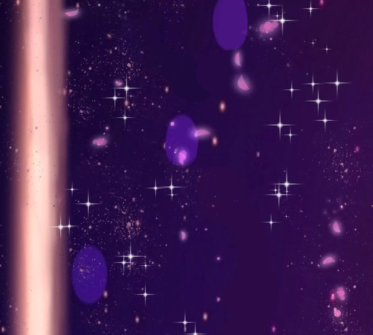 第 51 页