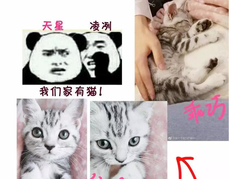 第 93 页
