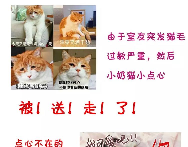 第 74 页