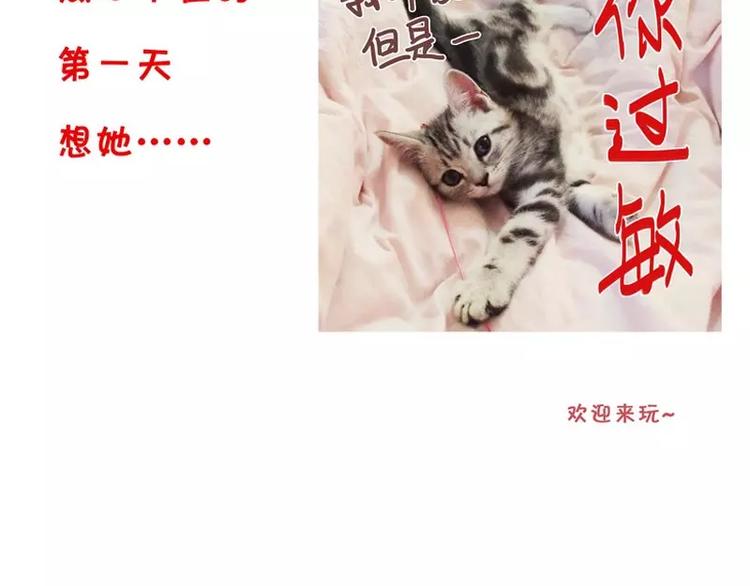 第 75 页