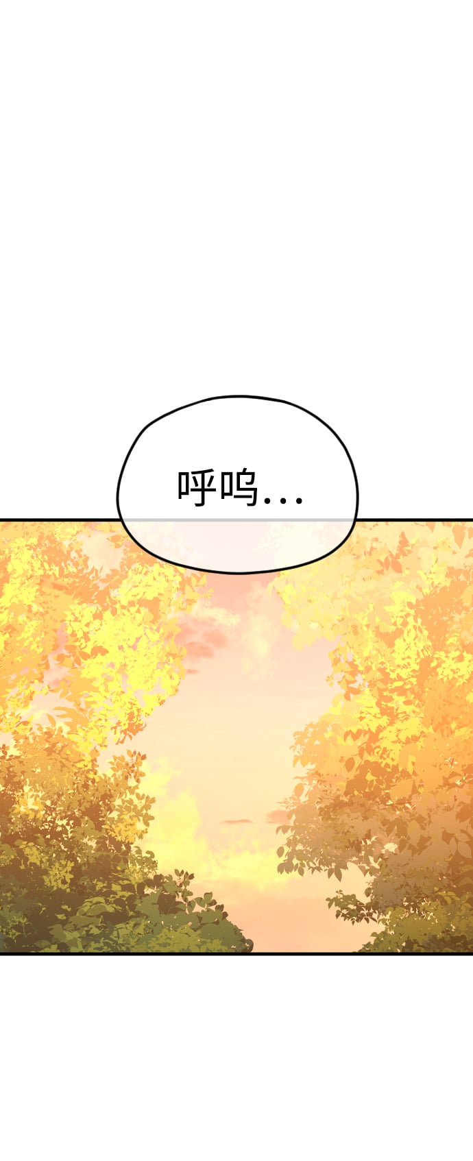 第 117 页