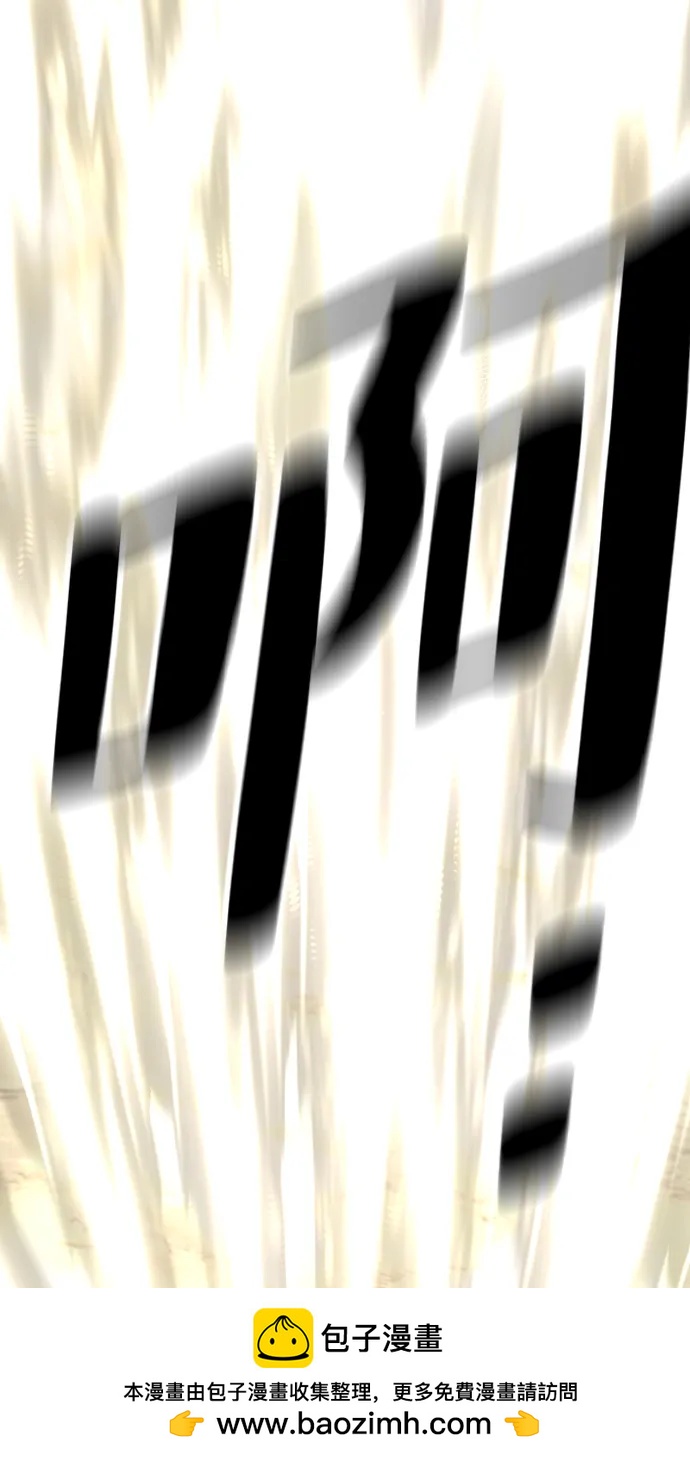 第 100 页