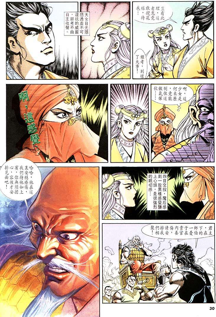 第 30 页