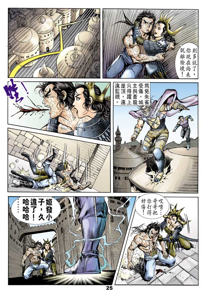 第 25 页