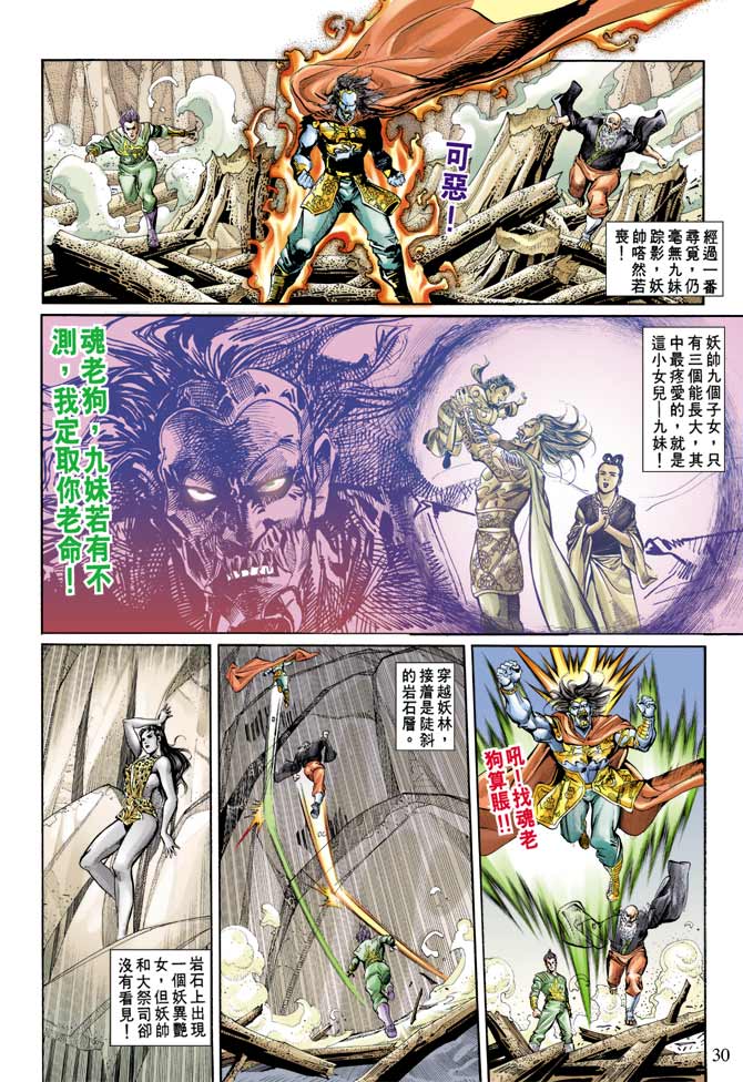 第 30 页