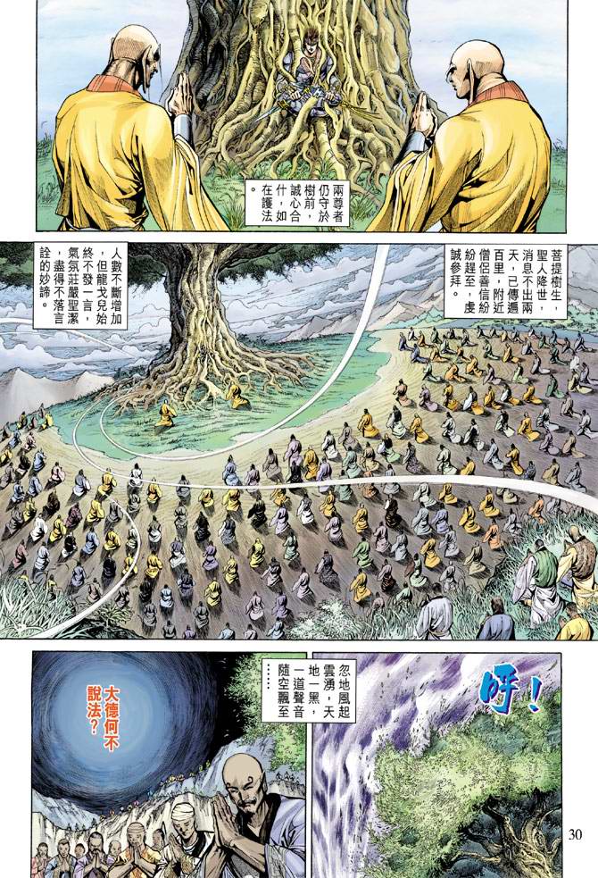第 30 页