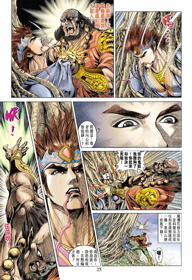 第 25 页