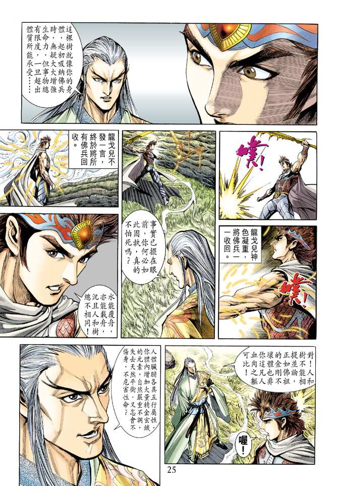 第 25 页